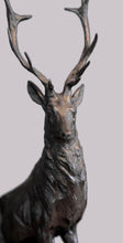 Load image into Gallery viewer, Moigniez pair of Bronze Stags
